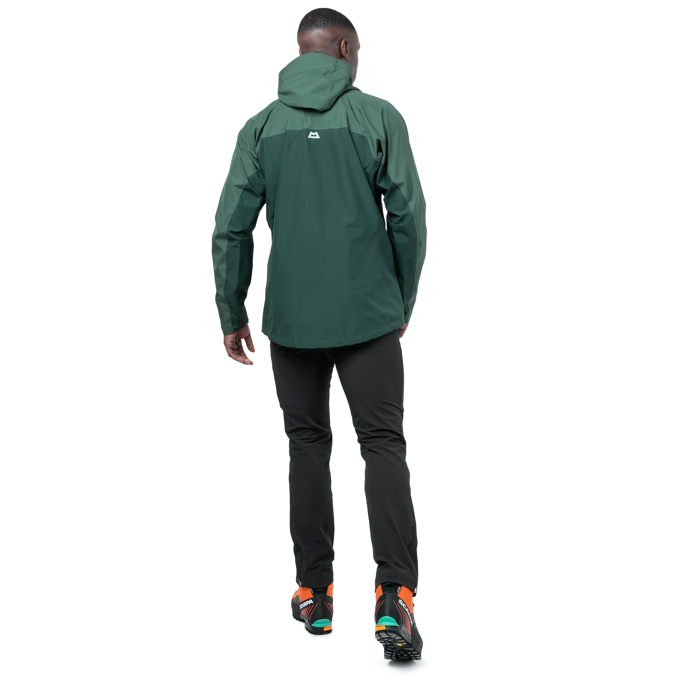 ME-01849 Pine/Fern