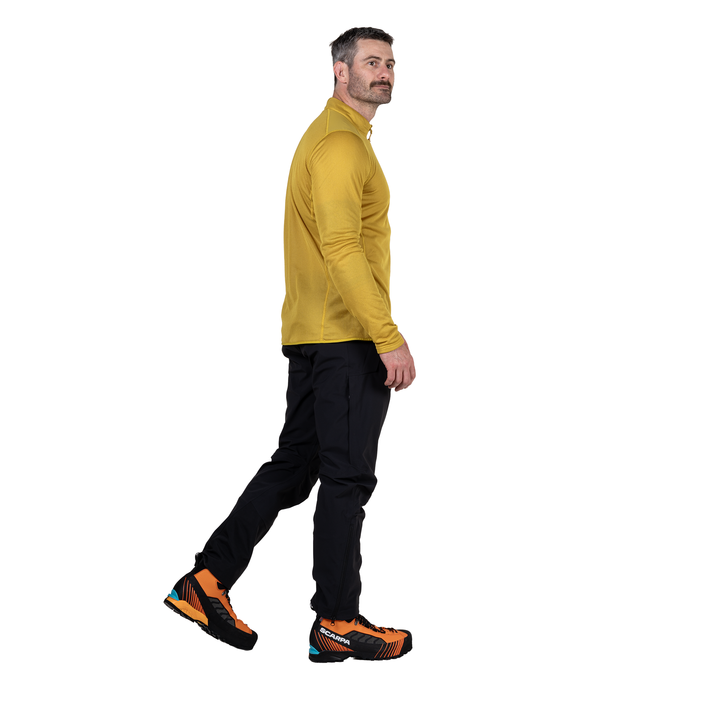 Me-02312 Mustard, Me-01286 Cosmos