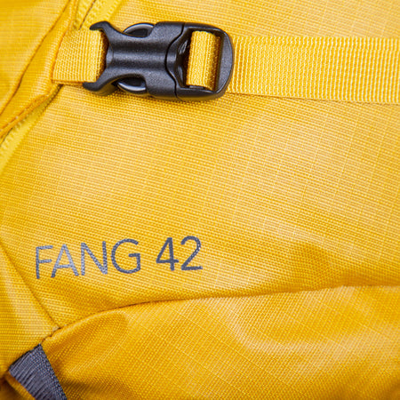 Fang 42+